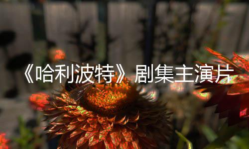 二季第哈主演片酬曝光百万特利波富翁剧集就成