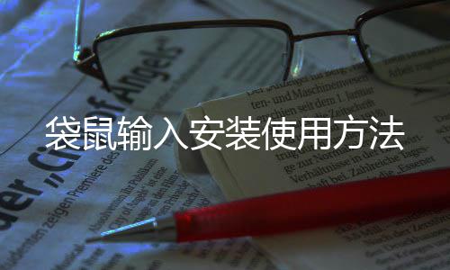 安装袋鼠输入使用方法